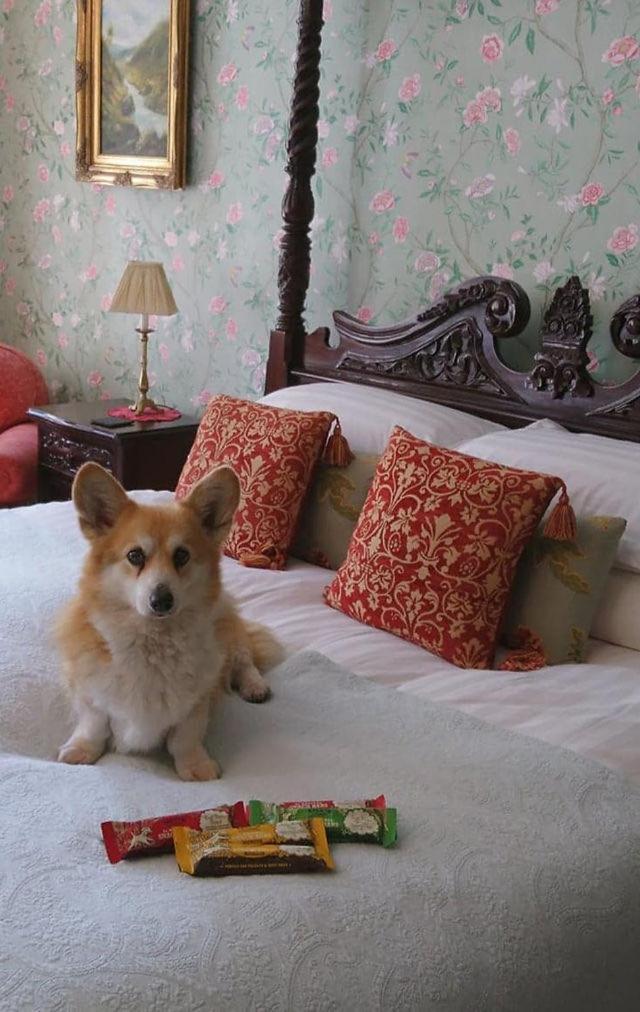Durn House Hotel Portsoy Luaran gambar